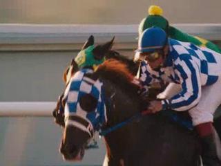 Belmont Park