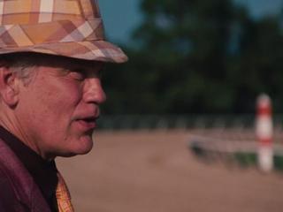 Secretariat What Do You Think