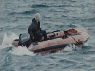 Harpoon Whale Watching Massacre