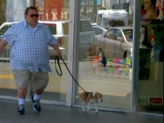 Jackass 3d Watch My Dog