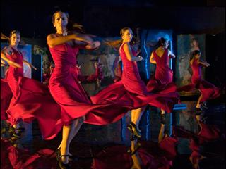 Flamenco Flamenco
