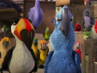 angry birds rio game trailer