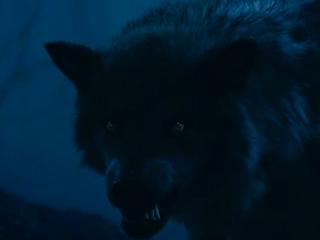 Wolves