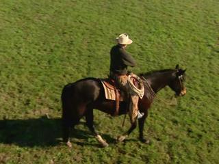 BUCK
