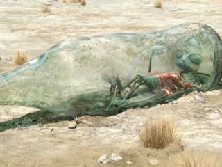 Rango Rolling Bottle