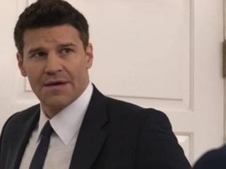 david boreanaz fucked naked big phat ass movies
