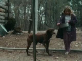 Winters Bone Ashley Morning