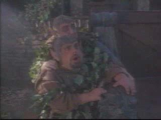 A Light In The Forest The Legend Of Hollyboy