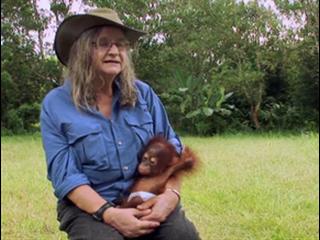Born To Be Wild 3d Camp Leakey Featurette