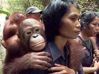 Born To Be Wild 3d Caregivers Featurette