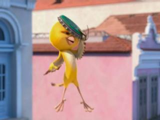 Rio Birds Vs Monkeys