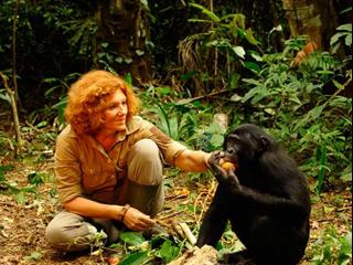 Bonobos