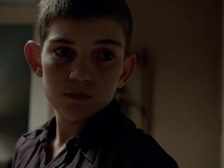 The Tree Of Life Brahms