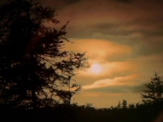 The National Parks Project