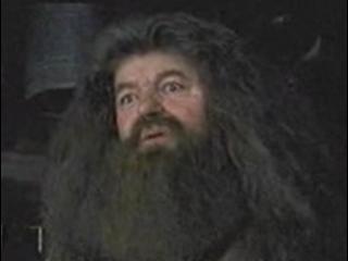 Harry Potter And The Prisoner Of Azkaban Scene Hagrids Hut