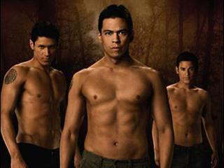 Twilight Saga New Moon The French