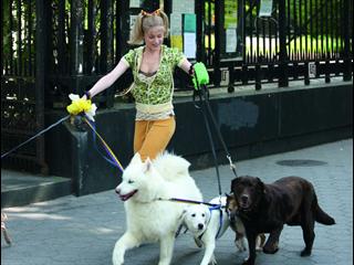 Whatever Works French - Whatever Works - Flixster Video