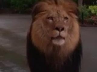 Zookeeper Trailer Two