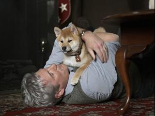 Hachiko A Dogs Story French - Hachi A Dogs Tale - Flixster Video