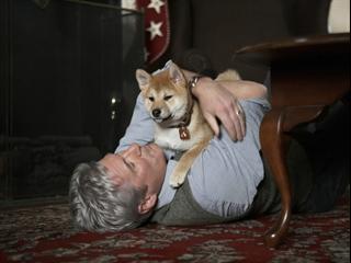 Hachi A Dogs Tale German