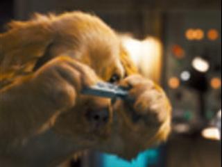CATS & DOGS: THE REVENGE OF KITTY GALORE (SPANISH)