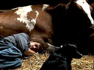 Coeur Animal