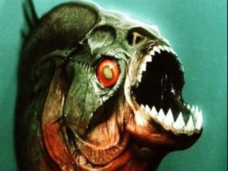 Piranha 3D Spanish - Piranha 3-D - Flixster Video