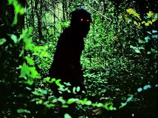 Uncle Boonmee Who Can Recall His Past Lives Spanish