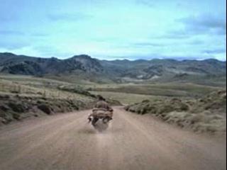 THE MOTORCYCLE DIARIES