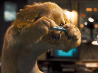 CATS & DOGS: THE REVENGE OF KITTY GALORE (ITALIAN)