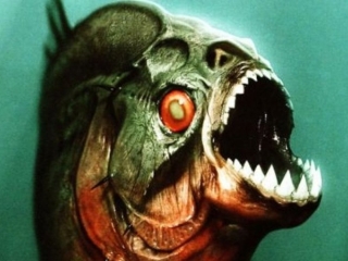 Piranha 3D Italian - Piranha 3-D - Flixster Video