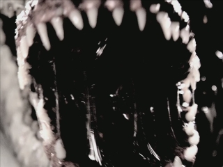 Creature