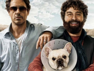 DUE DATE (ITALIAN)