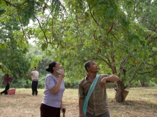 Uncle Boonmee Who Can Recall His Past Lives Uk