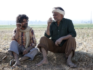 Peepli Live Uk