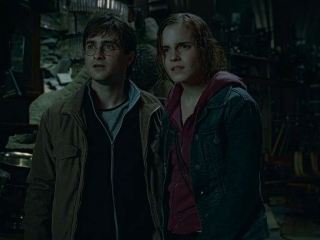 Harry Potter And The Deathly Hallows-part 2 Room Of Requirement