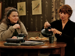 Le Herisson Spanish - The Hedgehog - Flixster Video