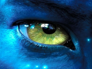AVATAR (ITALIAN)