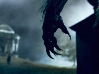 THE WOLFMAN (SPANISH)