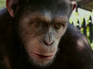Rise Of The Planet Of The Apes Miracle Uk Tv Spot