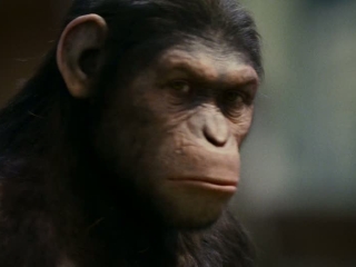 Rise Of The Planet Of The Apes One Subject Uk Tv Spot