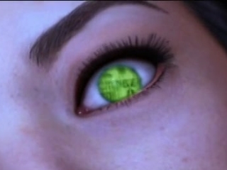 The Animatrix