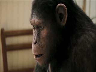 Rise Of The Planet Of The Apes Kitchen Table