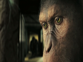 Rise Of The Planet Of The Apes The Awakening