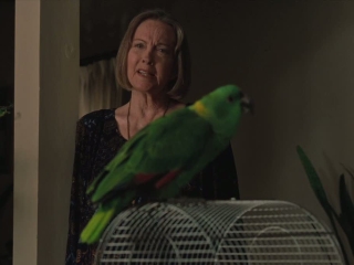 A Bird Of The Air Jealousy