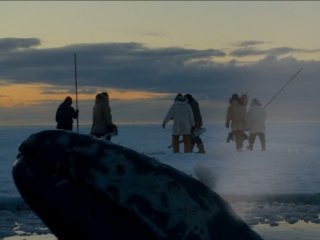 Big Miracle