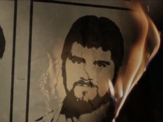 Incendiary The Willingham Case