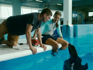 Dolphin Tale Kyle Meets Winter