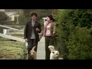 The Truth About Cats And Dogs Movie Second Movie The Truth About Cats And Dogs Movie Second Movie