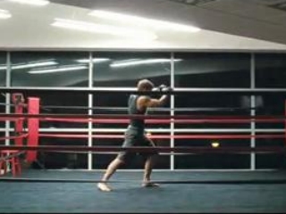 Warrior Italian - Warrior - Flixster Video